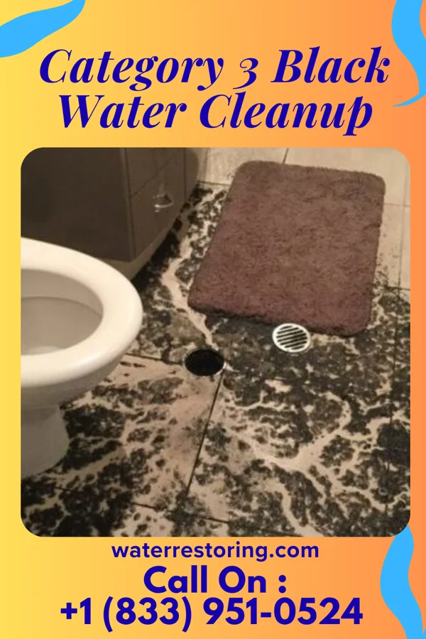 Category 3 Black Water Cleanup in Clatonia, NE