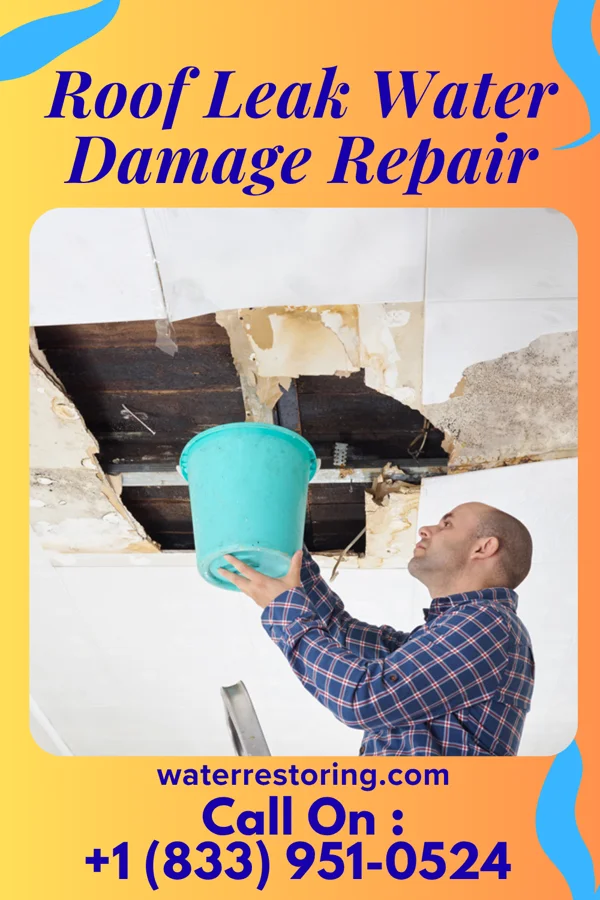 Roof Leak Water Damage Repair in Clatonia, NE