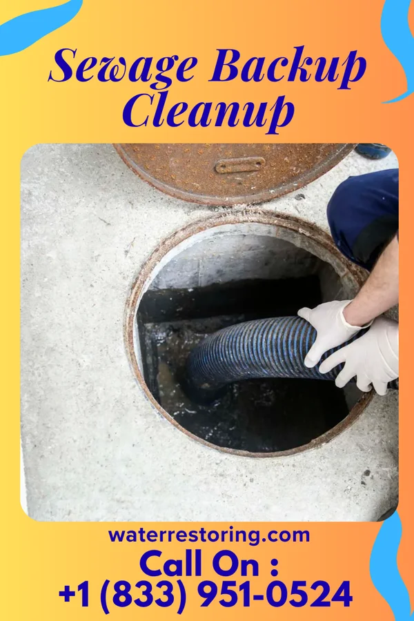 Sewage Backup Cleanup in Clatonia, NE