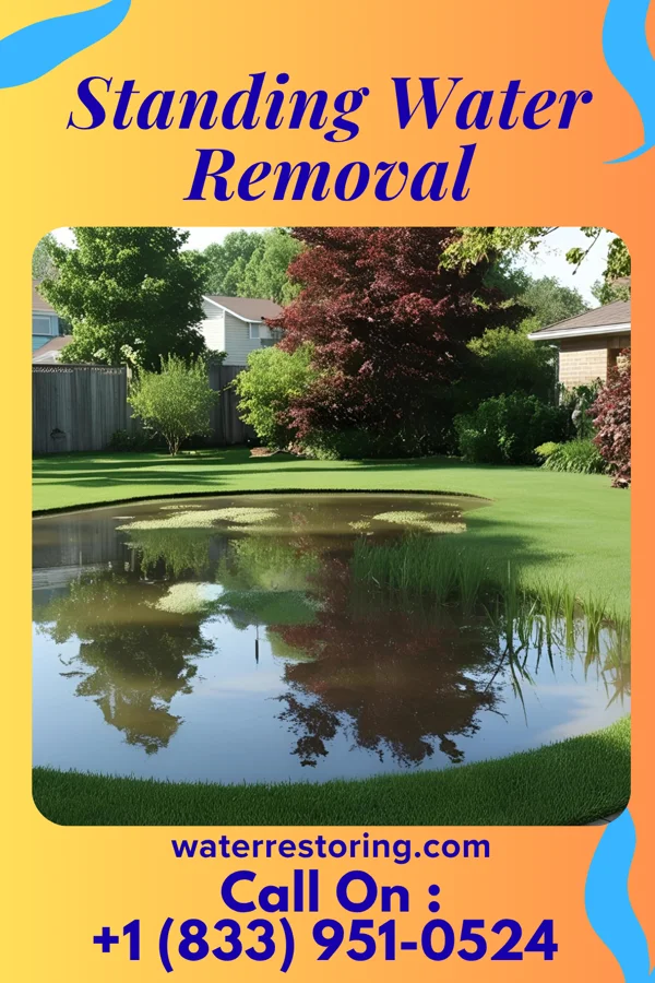 Standing Water Removal in Clatonia, NE